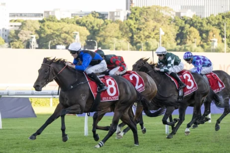 2026 Queen Of The Turf Stakes winner Idle Flyer