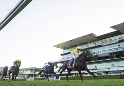 2026 Queen Elizabeth Stakes winner Sir Delius