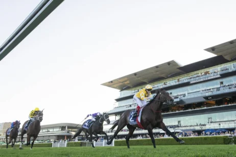 2026 Queen Elizabeth Stakes winner Sir Delius