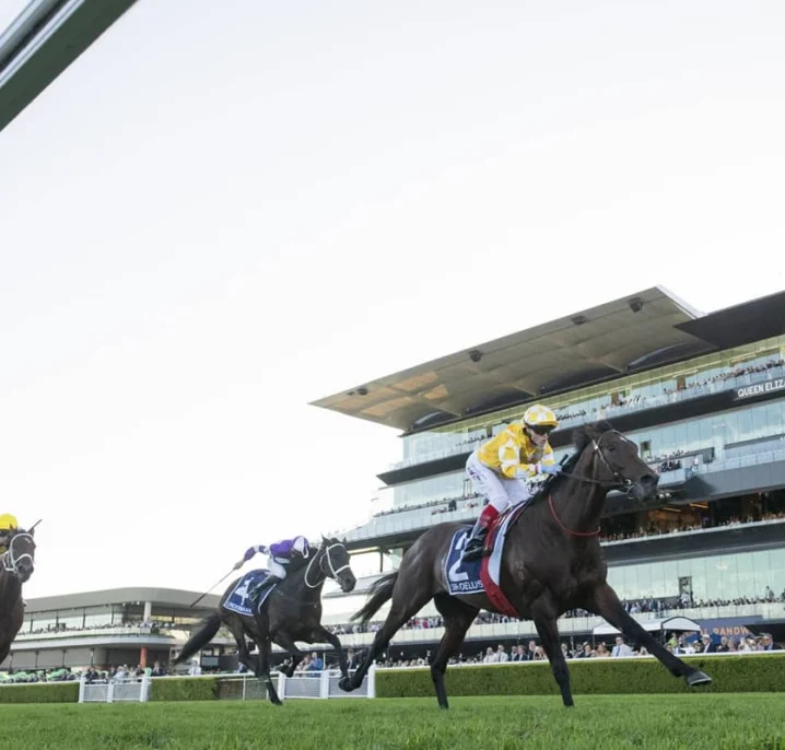 Queen Elizabeth Stakes 2026 Results: Sir Delius Wins, Autumn Glow Runs 3rd