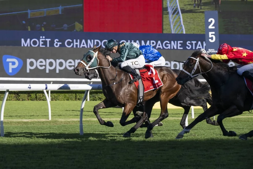 2026 Champagne Stakes winner Fireball