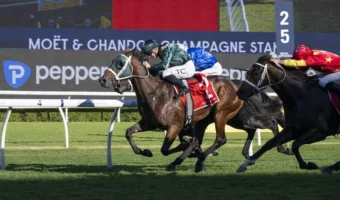 Champagne Stakes 2026 Winner Fireball Leads All-Waller Trifecta