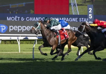 2026 Champagne Stakes winner Fireball