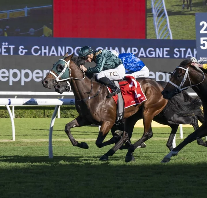 Champagne Stakes 2026 Winner Fireball Leads All-Waller Trifecta