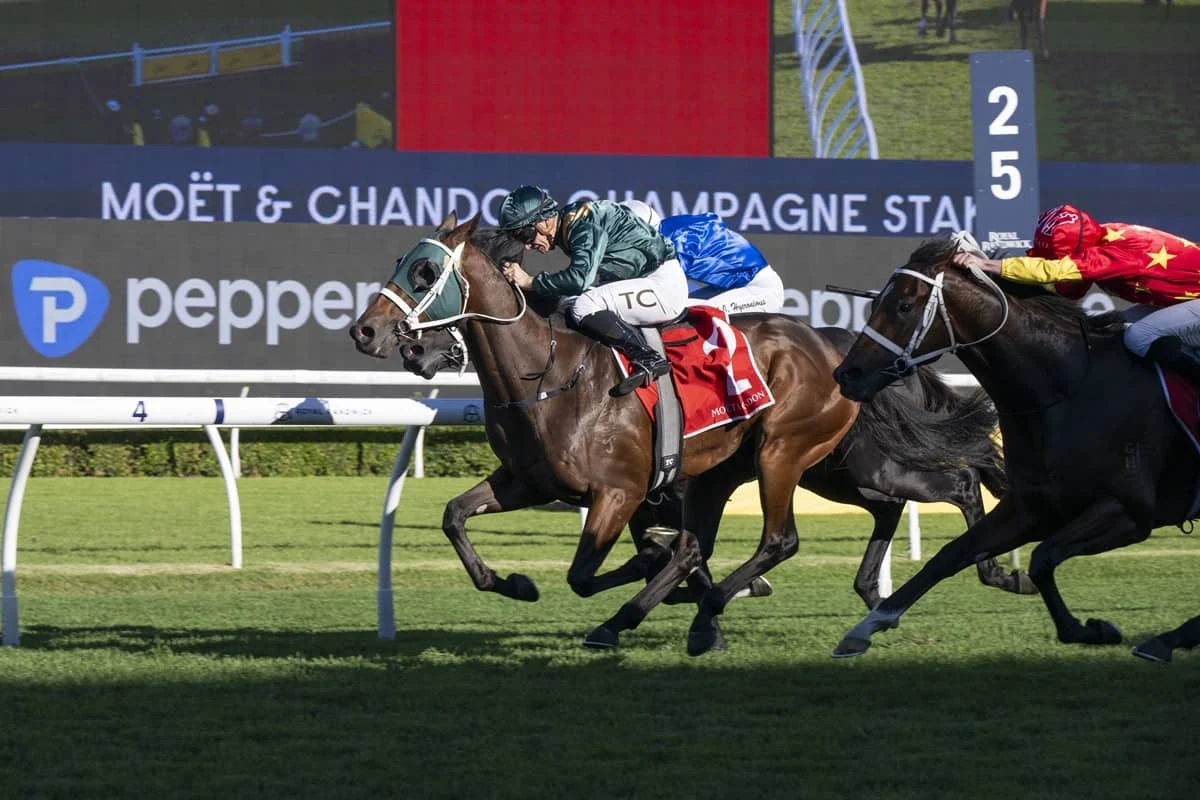 2026 Champagne Stakes winner Fireball