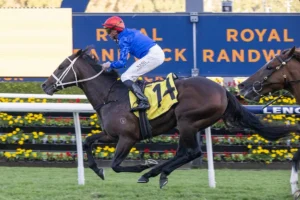 2026 All Aged Stakes winner Beiwacht