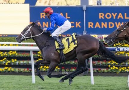 2026 All Aged Stakes winner Beiwacht