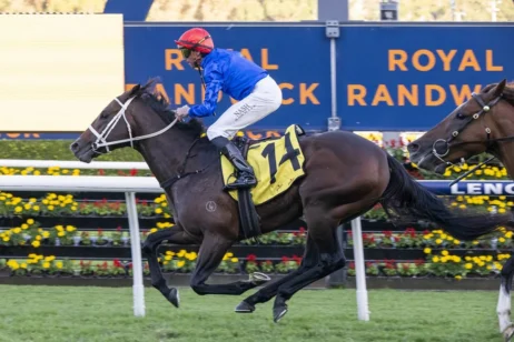 2026 All Aged Stakes winner Beiwacht