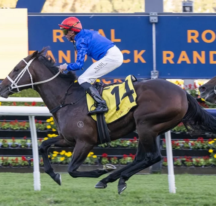 2026 All Aged Stakes Results: Beiwacht Beats Older Rivals