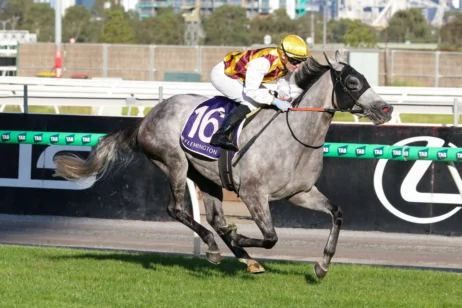 2026 South Australia Derby Field & Betting Update: Punters Take Accidental Bid