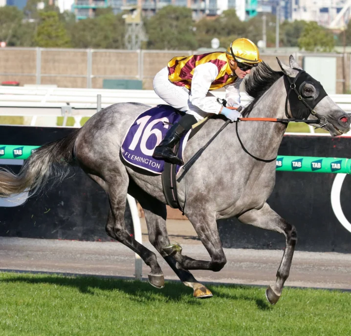 2026 South Australia Derby Field & Betting Update: Punters Take Accidental Bid