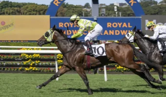 Brave Monarch Leads 2026 Queensland Guineas Field & Odds