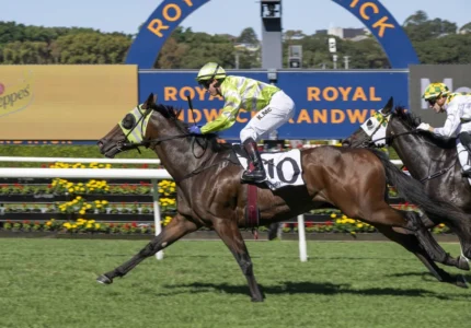 Snitzel Dancer