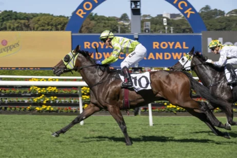 Snitzel Dancer