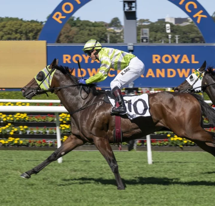 Brave Monarch Leads 2026 Queensland Guineas Field & Odds