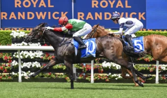 2026 Silver Shadow Stakes Field, Tips & Betting Update