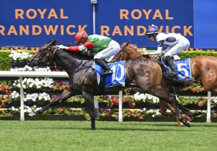Silver Shadow Stakes 2026 field and betting: Agrarian Girl