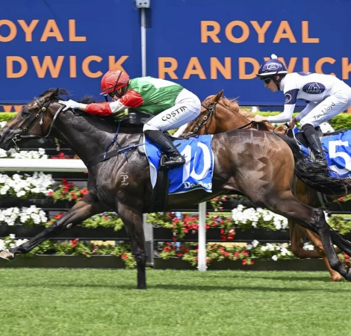2026 Silver Shadow Stakes Field, Tips & Betting Update