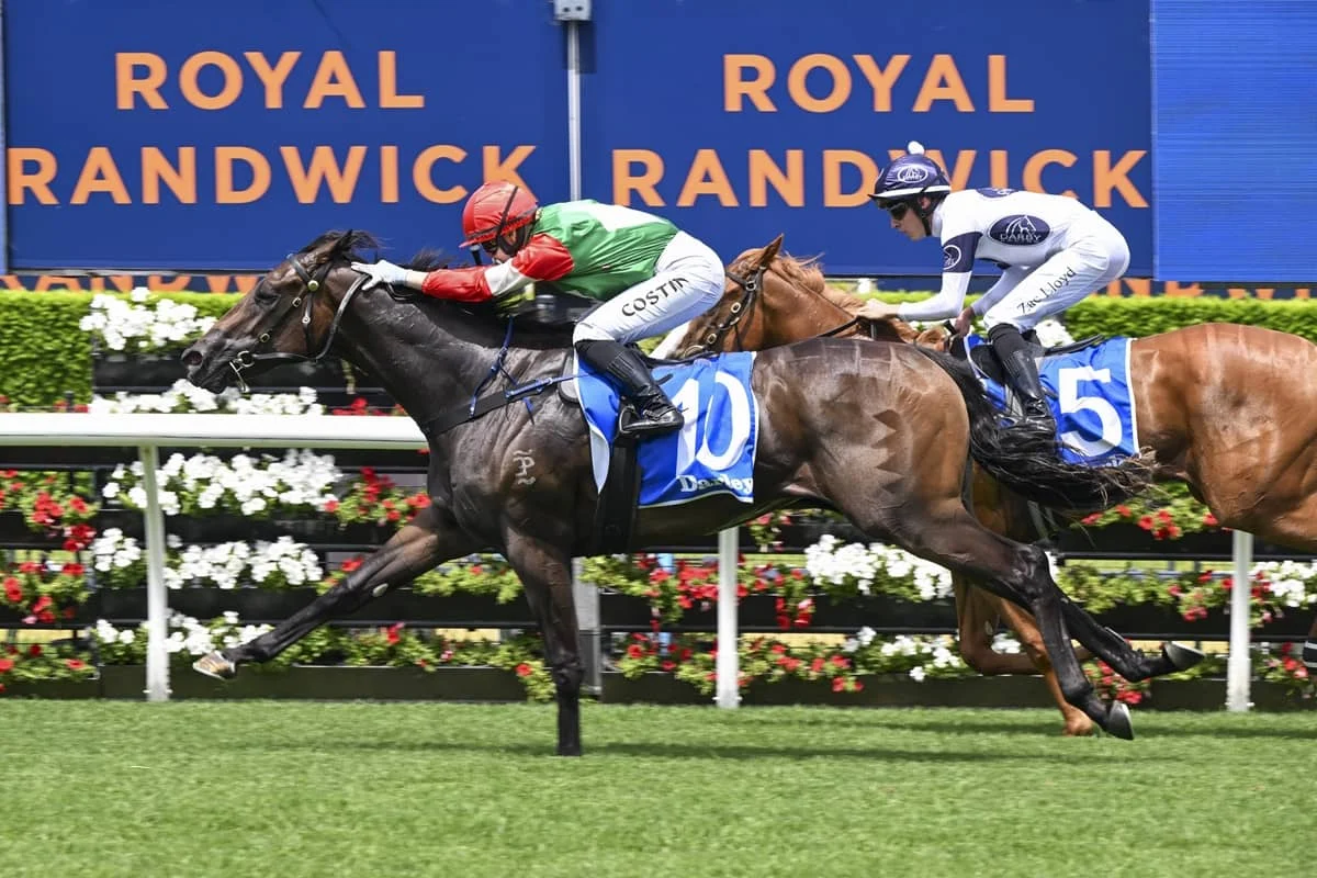 Silver Shadow Stakes 2026 field and betting: Agrarian Girl