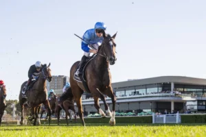 2026 Silver Shadow Stakes winner Pembrey