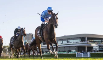 Flight Stakes 2026 Odds Firm on Impressive Silver Shadow Winner Pembrey