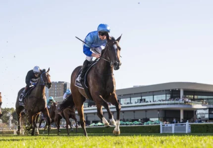 2026 Silver Shadow Stakes winner Pembrey