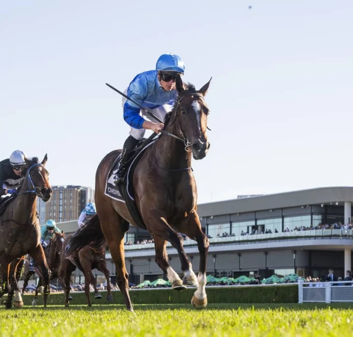 Flight Stakes 2026 Odds Firm on Impressive Silver Shadow Winner Pembrey