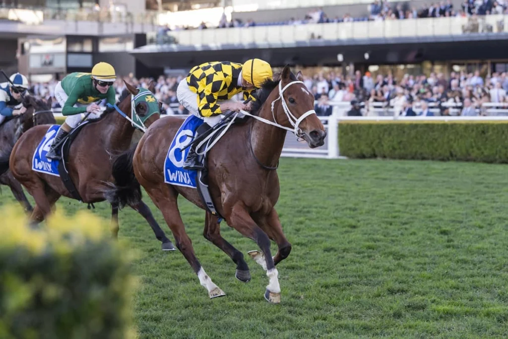 2026 Winx Stakes winner Autumn Glow