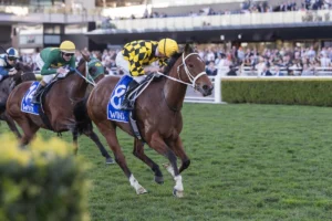2026 Winx Stakes winner Autumn Glow
