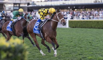 2026 Winx Stakes Results: Autum Glow Beats Sheza Alibi, Everest Tilt Pending