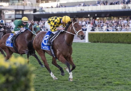 2026 Winx Stakes winner Autumn Glow