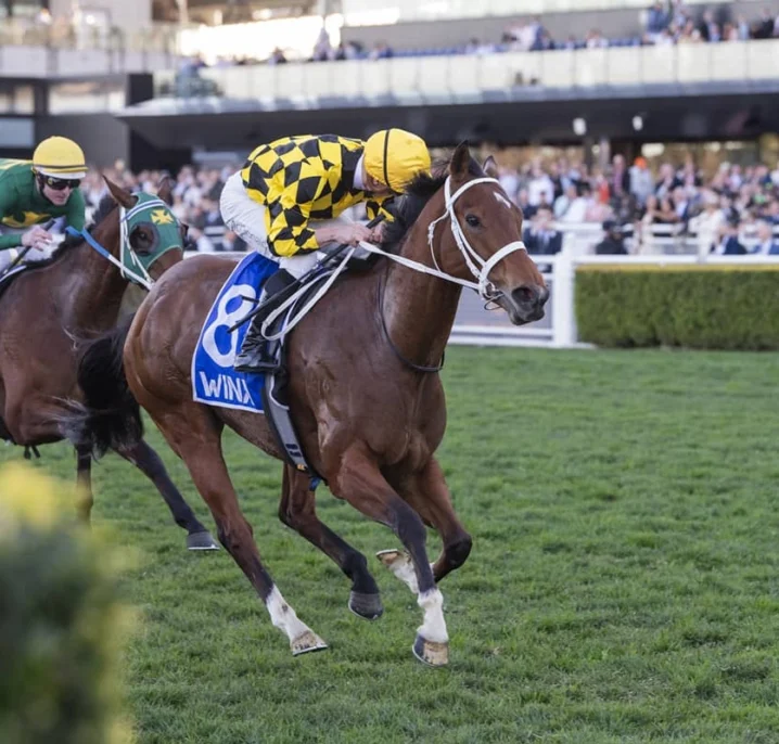 2026 Winx Stakes Results: Autum Glow Beats Sheza Alibi, Everest Tilt Pending