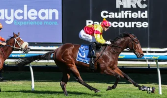 The Heath Winner Oliveanotherday New 2026 Manikato Favourite, Everest Calls