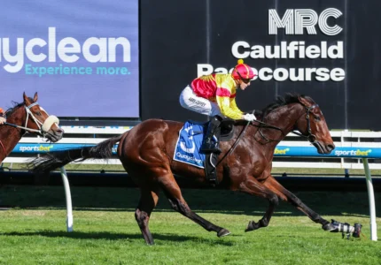 2026 The Heath 1100 Stakes winner Oliveanotherday