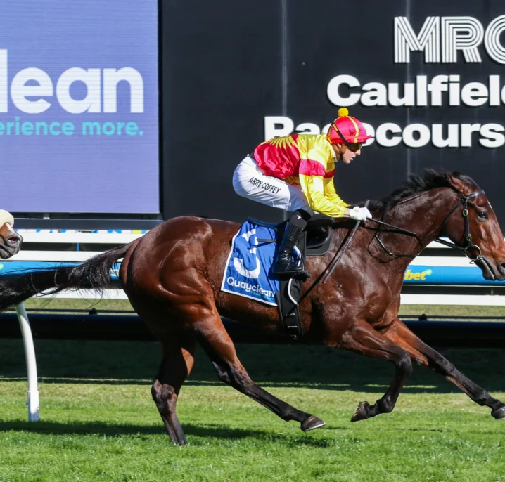 The Heath Winner Oliveanotherday New 2026 Manikato Favourite, Everest Calls