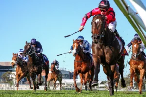 2026 HDF McNeil Stakes winner American Eagle
