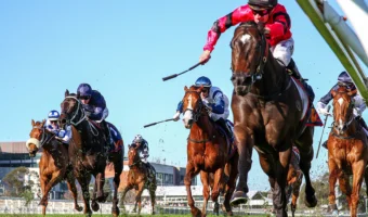2026 Caulfield Guineas Odds Firm on McNeil Stakes Winner American Eagle