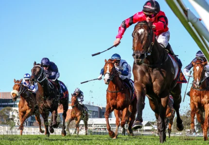 2026 HDF McNeil Stakes winner American Eagle