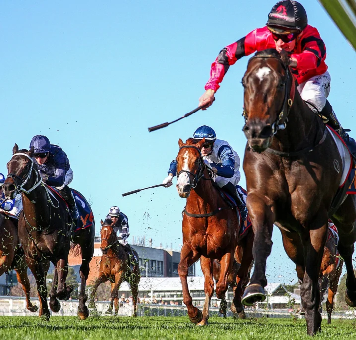2026 Caulfield Guineas Odds Firm on McNeil Stakes Winner American Eagle