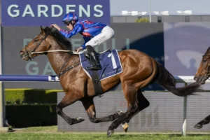 2026 San Domenico Stakes winner Guest House