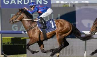 Slipper Winner Guest House Smashes Rivals Fresh in San Domenico 2026