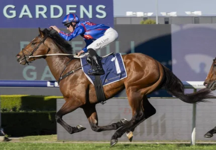 2026 San Domenico Stakes winner Guest House