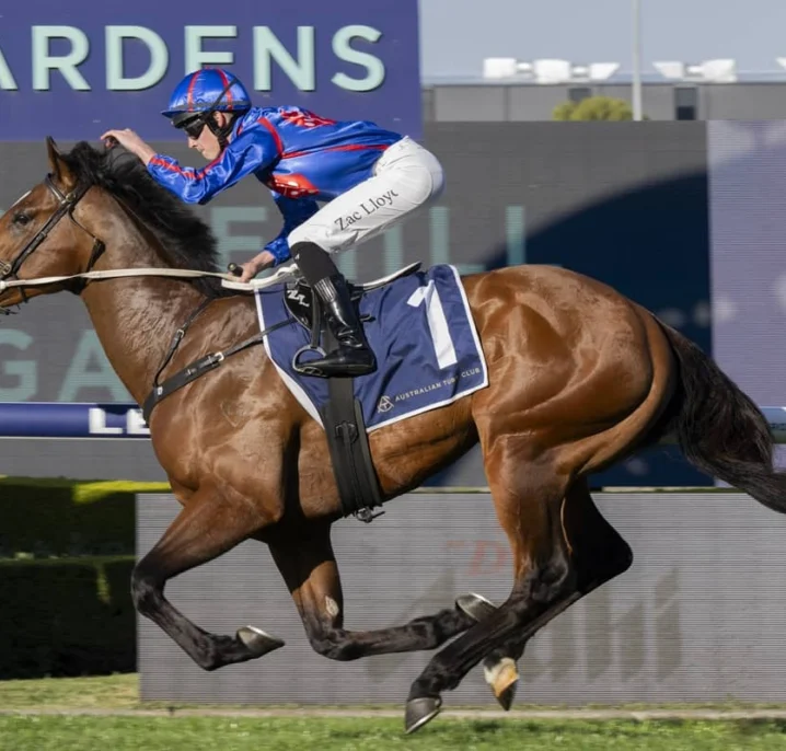 Slipper Winner Guest House Smashes Rivals Fresh in San Domenico 2026