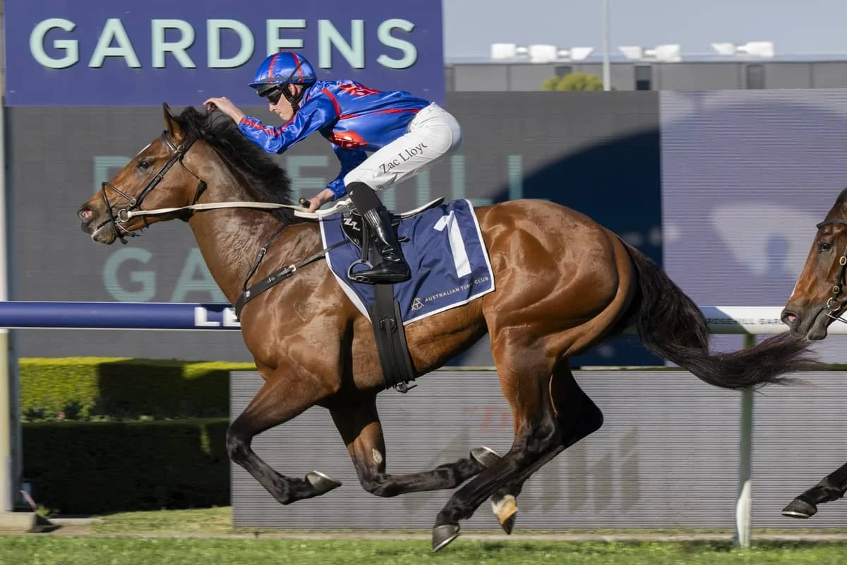 2026 San Domenico Stakes winner Guest House