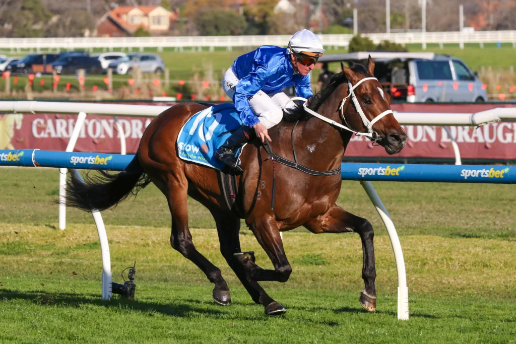2026 Memsie Stakes winner Beiwacht