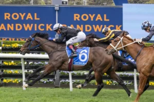 2026 Furious Stakes winner Bangkok Hottie