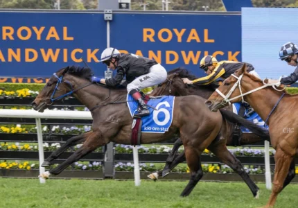 2026 Furious Stakes winner Bangkok Hottie