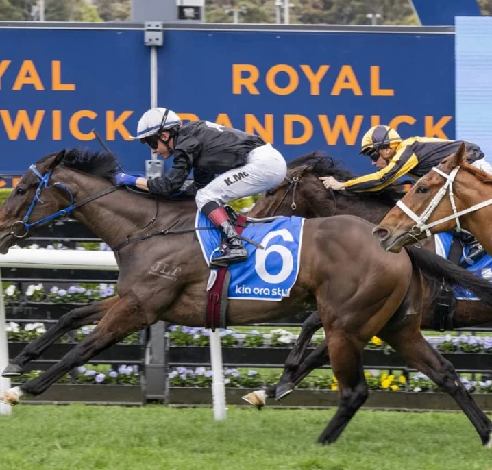 Furious Winner Bangkok Hottie New 2026 Flight Stakes Favourite