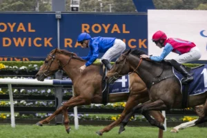 2026 Concorde Stakes winner Tempted