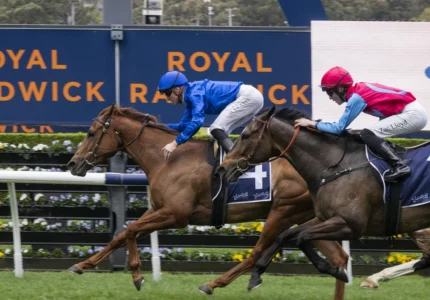 2026 Concorde Stakes winner Tempted